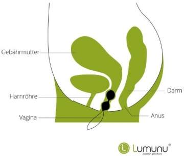 Deluxe Silikon Liebeskugeln (Ø31 mm), anal oder vaginal- training - 6